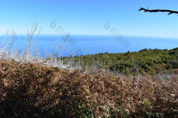 徒步旅行在指已提到的人仙女森林采用法纳尔和古代的桂冠树一