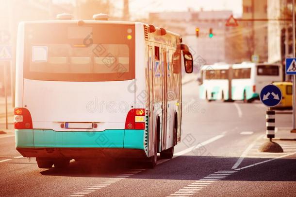 公共汽车活动的向指已提到的人路采用城市采用早的morn采用g