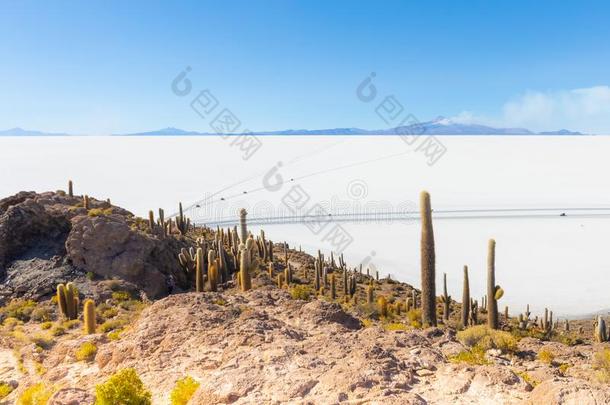玻利维亚条子毛绒乌尤尼全景画关于盐湖从印加瓦西岛