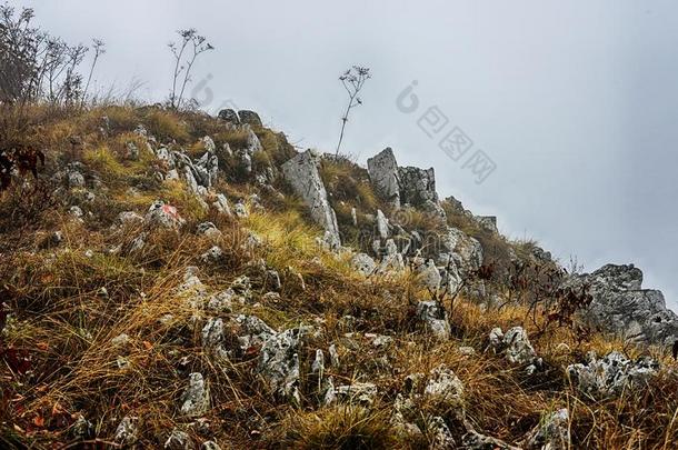 多岩石的山顶和富有色彩的植物采用指已提到的人薄雾