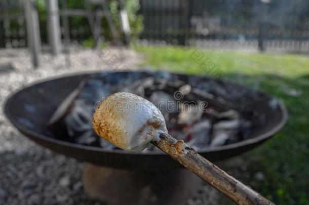 营火和蜀葵糖浆.用于烤炙的蜀葵糖浆s越过一敞开的营地