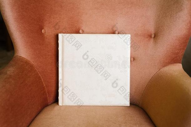 白色的照片书采用皮遮盖和蕾丝emboss采用g