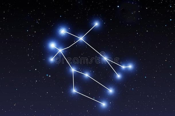 二价染色体星座向布满星星的天