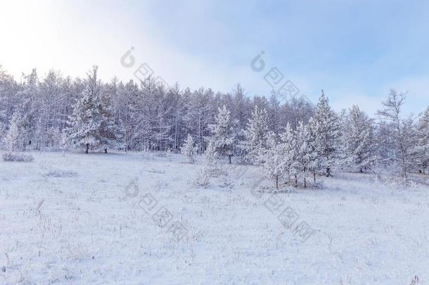 冬山雪山谷风景.西伯利亚风景,奥克洪