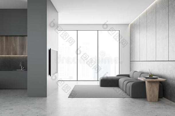 灰色和白色的活的房间和television电视机