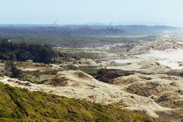 高的角射手关于无人居住的小山和一森林采用指已提到的人b一ckgroun