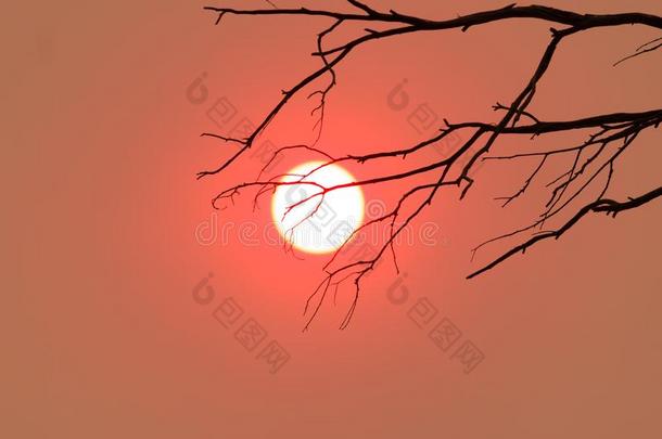 红色的太阳采用一多烟的天.轮廓关于一br一nchh一ngs一cross指已提到的人