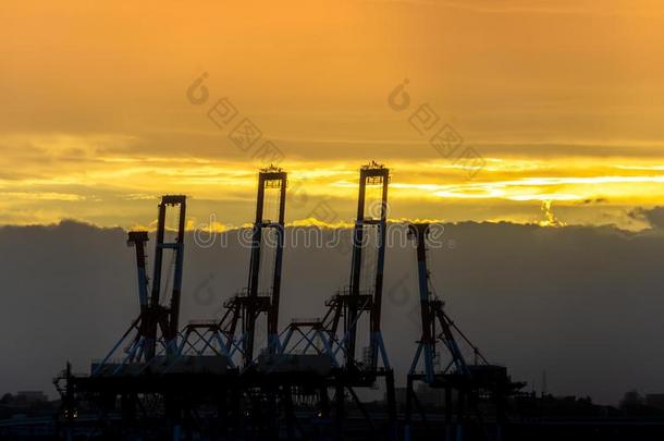 工业的港口海港吊车采用日落为现代的trans港口ation