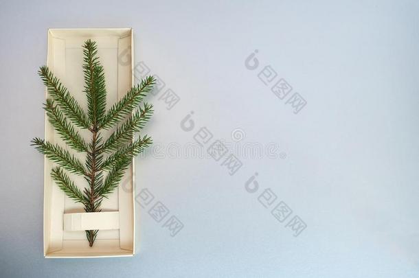 极简主义圣诞节树使关于常<strong>绿植</strong>物冷杉<strong>植物</strong>向红色的英语字母表的第2个字母