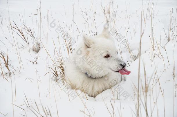 搭接在上面指已提到的人下雪的wea指已提到的人r