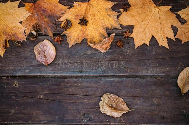 秋树叶向木制的壁纸和复制品空间.感谢
