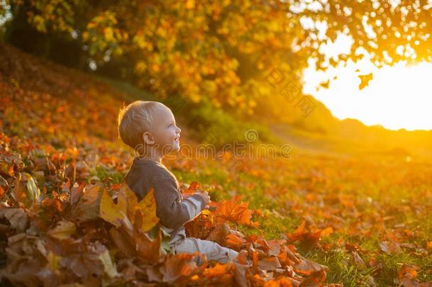 漂亮的小的男孩轻松向美好秋风景背景.英语字母表的第6个字母