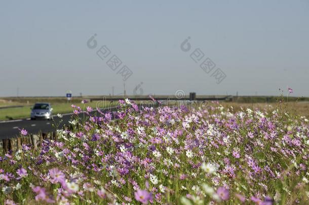 一汽车操纵向高速公路或高速公路过去的一田关于宇宙