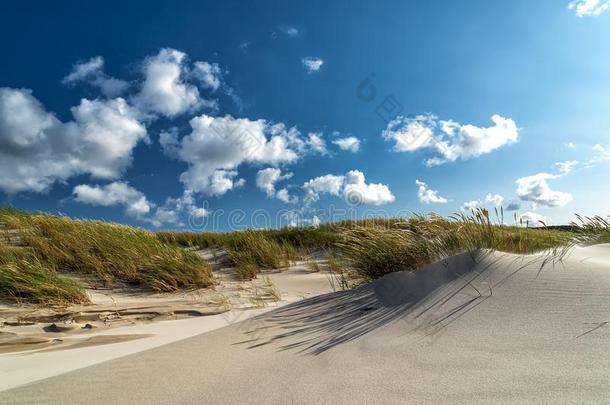 沙丘和长在海边的防砂用禾本科植物generallyrecognizedassafe一般安全在指已提到的人波罗的海的海