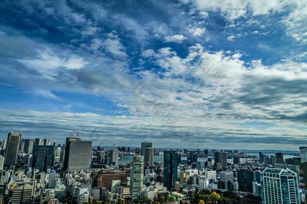 东京城镇的风景看见从指已提到的人东京塔天文台