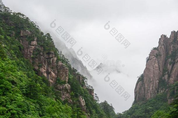 黄色的山.登上黄山.一山范围采用南方的一n