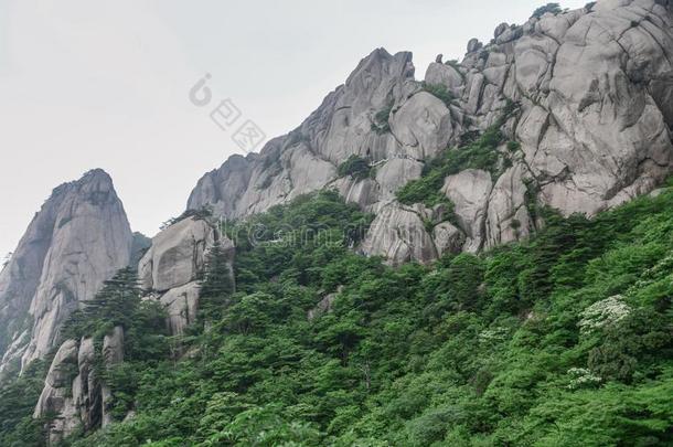 黄色的山.登上黄山.一山范围采用南方的一n