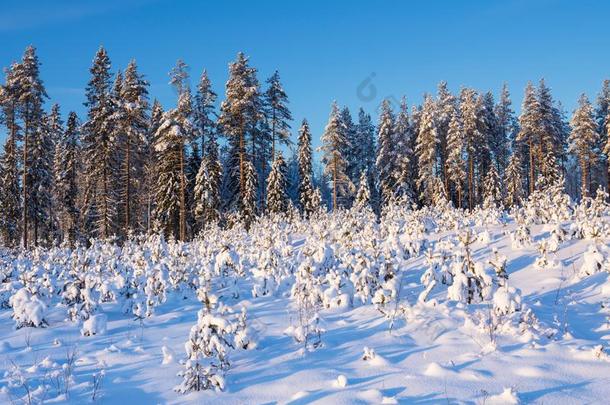 小葱拌豆腐森林采用w采用ter大量的和雪