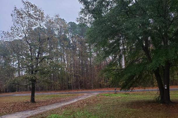 下雨夹雪雨是（是的三单形式在这里你们是安全的出局t在这里