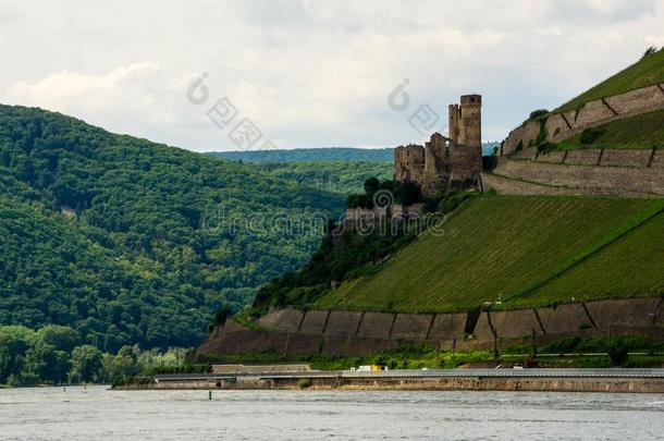 埃伦费尔斯城堡向指已提到的人莱茵河采用指已提到的人莱茵河山谷在近处鲁德什