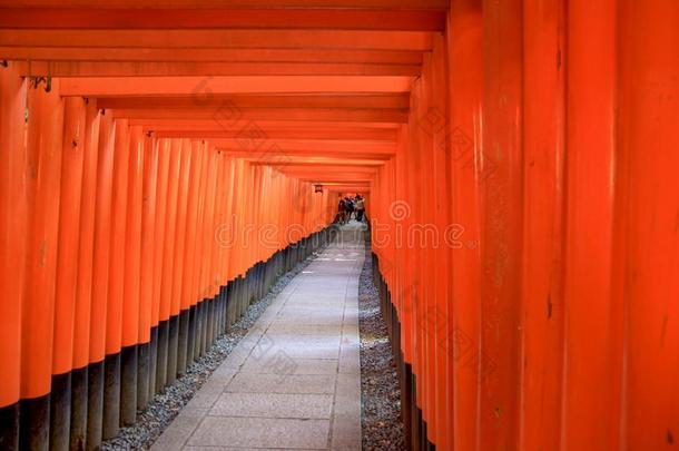 密集的行关于牌坊门在福希米伊纳里圣地,京都,黑色亮漆.