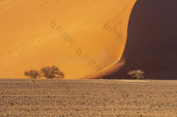 我一直是孤身一人沙丘沙漠