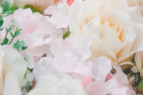 粉红色的玫瑰花和向背景粉红色的玫瑰花s.