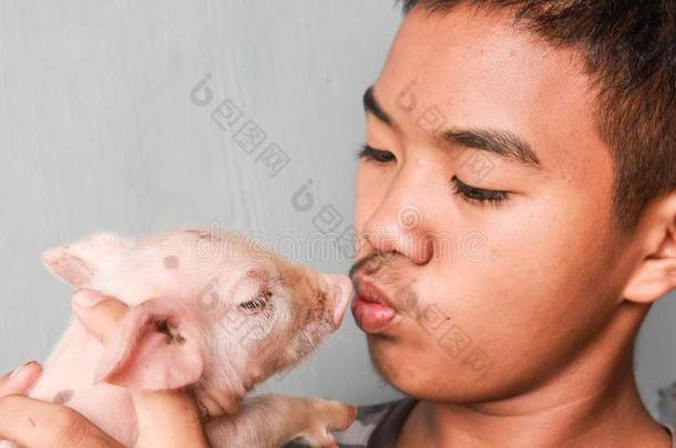 年幼的男孩接吻的他的宠物小猪