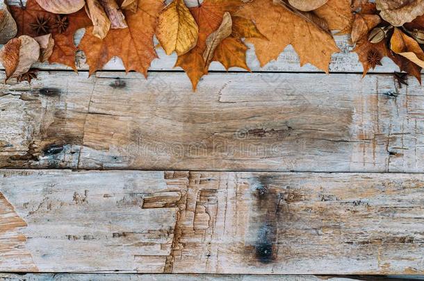 秋树叶向木制的壁纸和复制品空间.感谢
