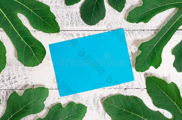 信纸放置在上面典型的木制的表在之间绿色的树叶