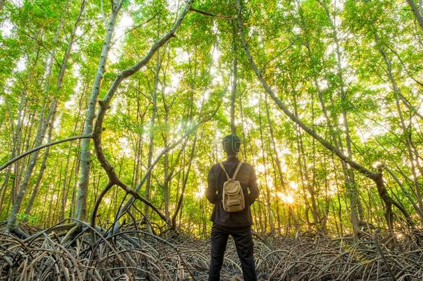 一男人起立经过男人grove森林和背包旅行最<strong>致命</strong>的