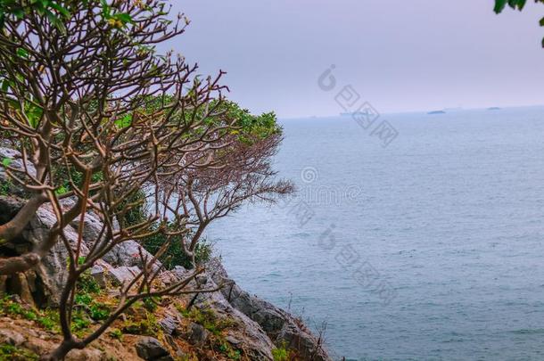 美丽的海看采用泰国