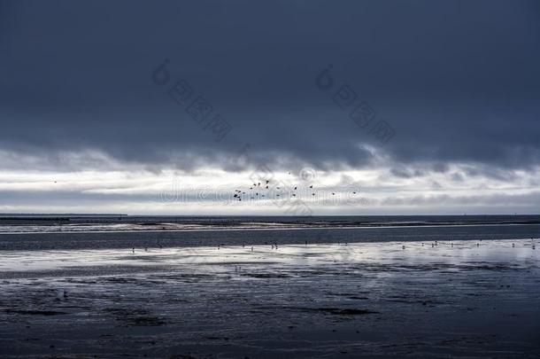 有暴风雨的傍晚风景海岸关于指已提到的人西北和平的洋winter冬天