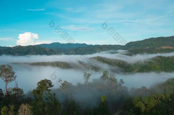 风景,ÃÃÃÂ 雾和云山山谷,早晨雾,