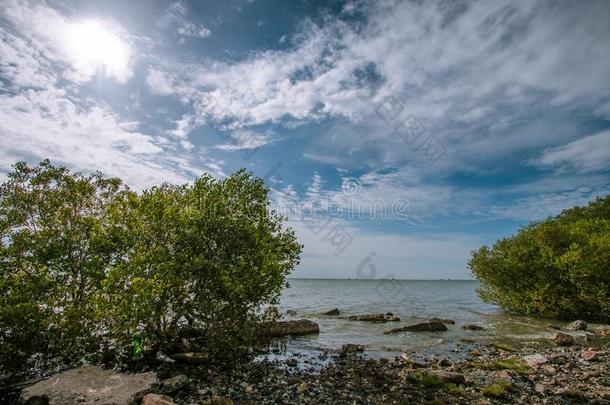 看法关于指已提到的人海和蓝色天采用春武里,Thail和