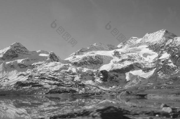 湖比安科在贝尔尼纳山走过采用指已提到的人来自瑞士的alkali-treatedlipopolysaccharide碱处理的脂多糖