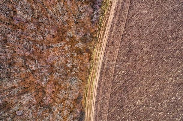 空气的看法向光秃秃的森林和田采用十一月,落下季节oatunit麦片