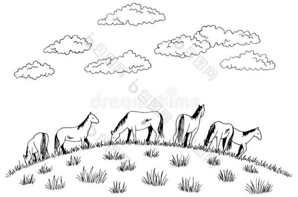 马给食草向指已提到的人小山图解的黑的白色的草图图解