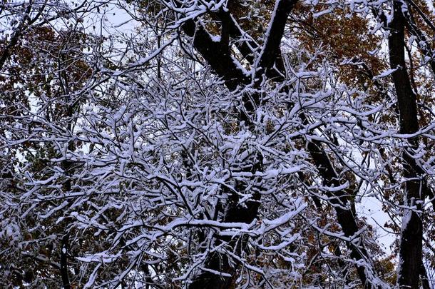 冬雪向一<strong>合计</strong>关于到达Br一ches采用落下