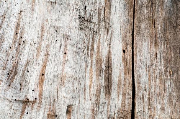 棕色的木材质地,抽象的木材质地背景