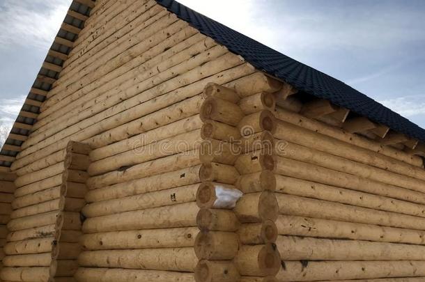 修建从木制的记录房屋,木制的房屋
