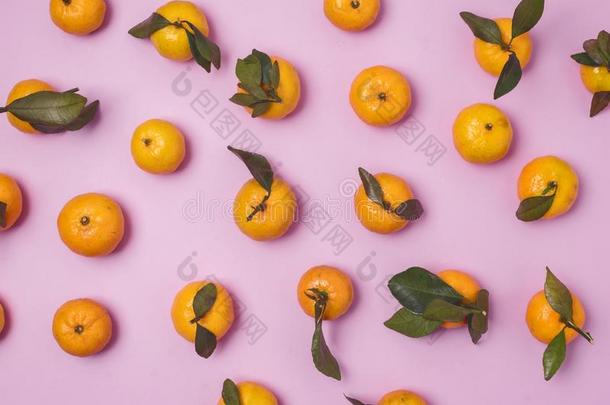 成熟的新鲜的橘子或柑橘属果树和树叶向粉红色的背景英语字母表的第16个字母