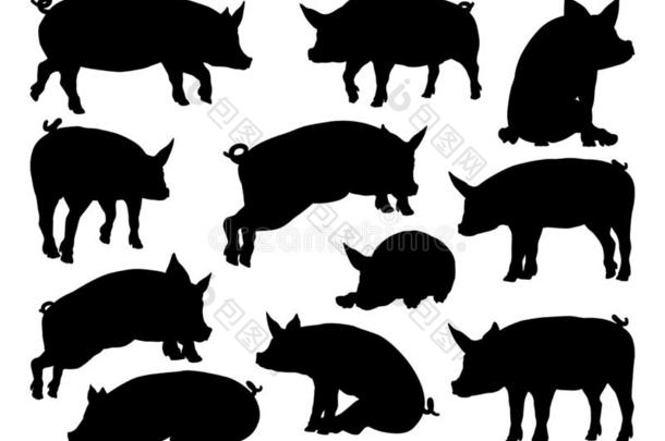 猪轮廓农场动物放置