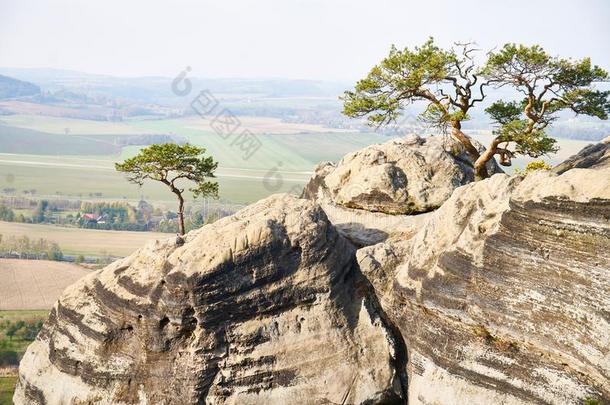 砂岩形成在德拉布斯克圣洁的保护地区