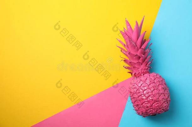 描画的粉红色的菠萝向多色背景