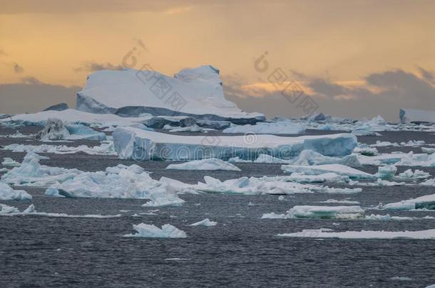 野生的冷冻的风景,南极洲