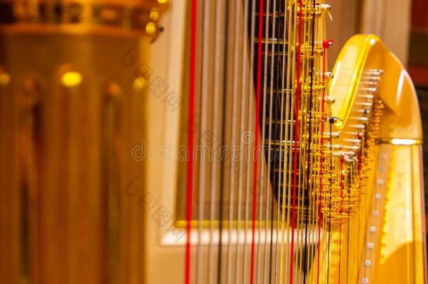 美丽的金色的竖琴乐队的弦乐器部关在上面.音乐的器具关于英语字母表的第20个字母
