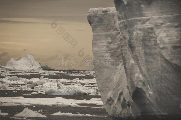 野生的冷冻的风景,南极洲