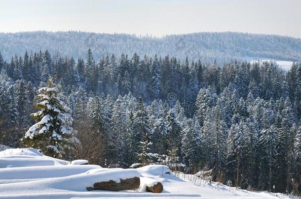 山风景和下雪的树和练习用球瓶