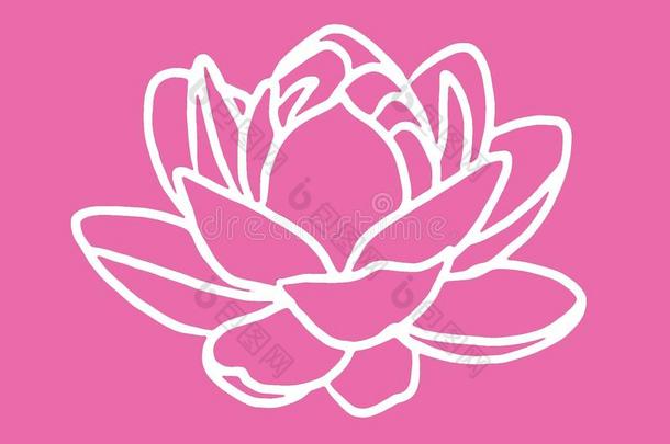 一现代的粉红色的和白色的大大地莲花花设计为织物或